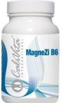 Magnezi B6